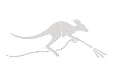 Wallaby Wash Wallaby Wash